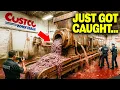 Costco Just Got Caught Americans Knew Something Was Wrong