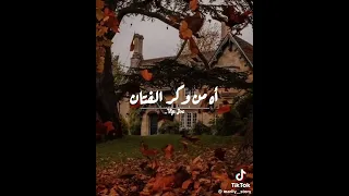 لو سرقت منا الأيام في قلبي تبقى ذكراك 