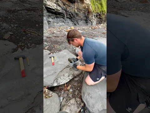 Hidden inside were these amazing Jurassic fossils! 😍 At around 185 million years old 🦖⚒️