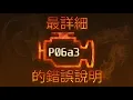 P06a3