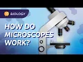 Microscopes How We See What We Can t See Crash Course Biology