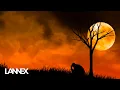 Lannex - Trendafili jem