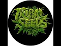 Tribal Seeds Ft. Rick Haze - Rootsman Party