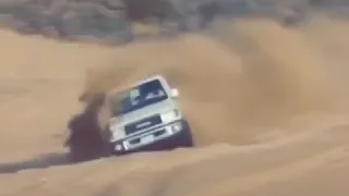 جاك الي يسمونه العرب الوحش دندنها