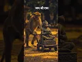 Download Lagu जय श्री राम🙏🙏#song #trending #bhojpuri #hanuman #ramsiyaram #ram #ramadan #hanumanji