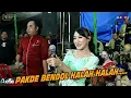 Download Lagu TAK ELUS ELUS T3l3S Jare Cak Genthong.....MADIUN NGAWI ALROSTA DONGKREK  Live Bangsri 2022