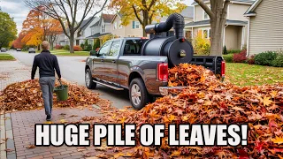 The FASTEST Way to Remove Fall Leaves ! (By @sawyerslawncareservice  )