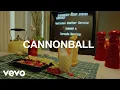 Michigander - Cannonball
