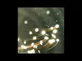 Florence Road - Wish Upon You (Official Audio)