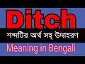 Ditch Meaning In Mane ki