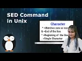 Linux Tutorial For Beginners to Advance SED Command Hindi