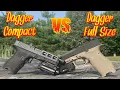 Palmetto State Armory Dagger Compact VS Palmetto State Armory Dagger Full Size Comparison