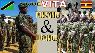 vita vya tanzania na uganda sababu matokeo na funzo kwa afrika