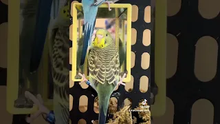 A jailbird reflects on his bad life choices