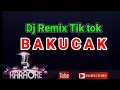 Download Lagu Dj Remix Tiktok - BAKUCAK - Wawa Naela ( KARAOKE )