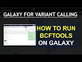Galaxy Tutorial for Bioinformatics Variant Calling with BCFTOOLS