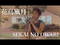 Download Lagu 井野利治「花鳥風月」(SEKAI NO OWARIさんカバー)【mic-aloneメンバー】