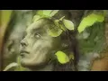 8 Hours of Mysterious Relaxing Music • Harp, Flute, Piano & Strings for Sleep & Meditation