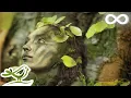 Download Lagu 8 Hours of Mysterious Relaxing Music • Harp, Flute, Piano \u0026 Strings for Sleep \u0026 Meditation