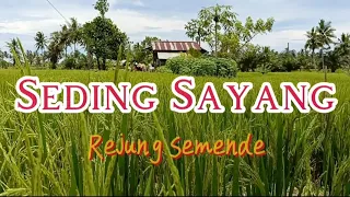 Download Seding Sayang - Rejung Semende ll Video Alam Kaur MP3