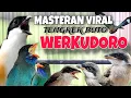 Download Lagu MASTERAN CENDET JUARA FULL TEMBAKAN PAJANG TENGKEK BUTO WERKUDORO