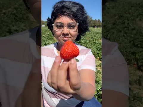 Strawberry picking in Luxembourg #love #happymoments  #luxembourg