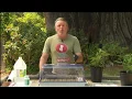 Cannabis Cloning 101 Kevin Jodrey Green Flower Cannabis Cultivation Program