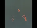 Cocaina - TRIPLEGO