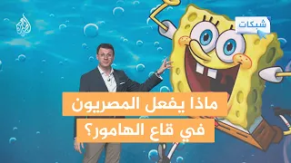 شبكات    قاع الهامور  يثير ضجة في مصر   ما قصته  دندنها
