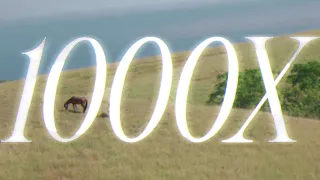 ghea indrawari 1000x official visualizer 