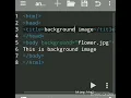 HTML code to set background image on a webpage using anWriter App on Android Mobile background img