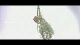  engalukkum veyyiladikkum onbadhu roobai nottu thangar bachan