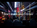 Download Lagu REYNE Cover - Don't Know What to Say (Lyrics)
