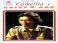 (FULL ALBUM) Ebiet G. Ade Camellia I (1979) Album Perdana