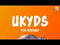 Download Lagu for Revenge, Stand Here Alone - uKYdS (Lyrics)
