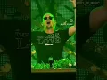 Download Lagu Gasolina live @ Tomorrowland