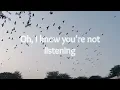 Wilco - Impossible Germany (lyrics)