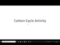 Carbon cycle activity