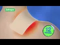 Salonpas Pain Relief Patch 10 sec 2020 SALONPAS UK Hisamitsu UK