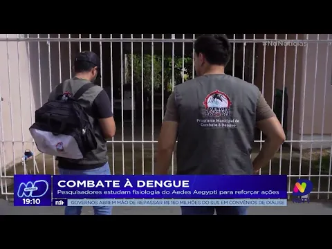 Combate à dengue: pesquisadores estudam fisiologia do Aedes Aegypti para reforçar ações