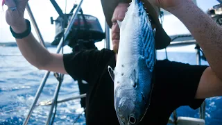 CATCHING LUNCH WITH SALVAGED DRIFTWOOD | The End of a Chapter CH. 13