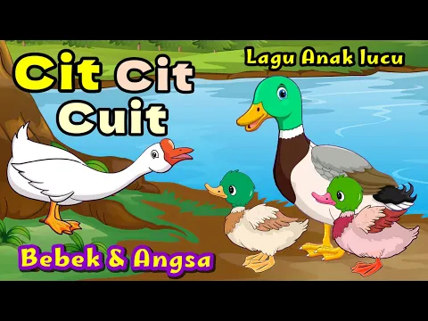 Download MP3 Lagu Anak Anak - Cit Cit Cuit - Bebek Berenang - Bebek Nyosor - Lagu Anak Lucu Populer