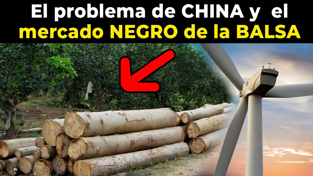 El imperio Eólico Chino de 60 mil MILLONES tiene un GRAN PROBLEMA