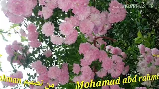 ليش تذكرت الماضي بعطر الورد الي عم بيفوح 