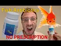 Licensed Pharmacist Reviews Fish Antibiotics