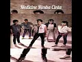 Download Lagu Medicine-Rimba Cinta