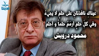 عيناك نافذتان على حلم لا يجيء محمود درويش Mahmoud Darwish 