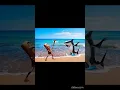 Download Lagu tum tum tum sahur vs tralalero tralala✅️🪵🐬🤯 #shorts #viralvideo#memes #art #youtubeshorts#subscribe