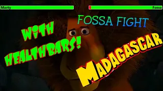 madagascar 2005 fossa fight with healthbars