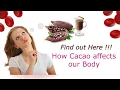Health benefits of Cacao and organic dark chocolate Is Cacao a blood thinner